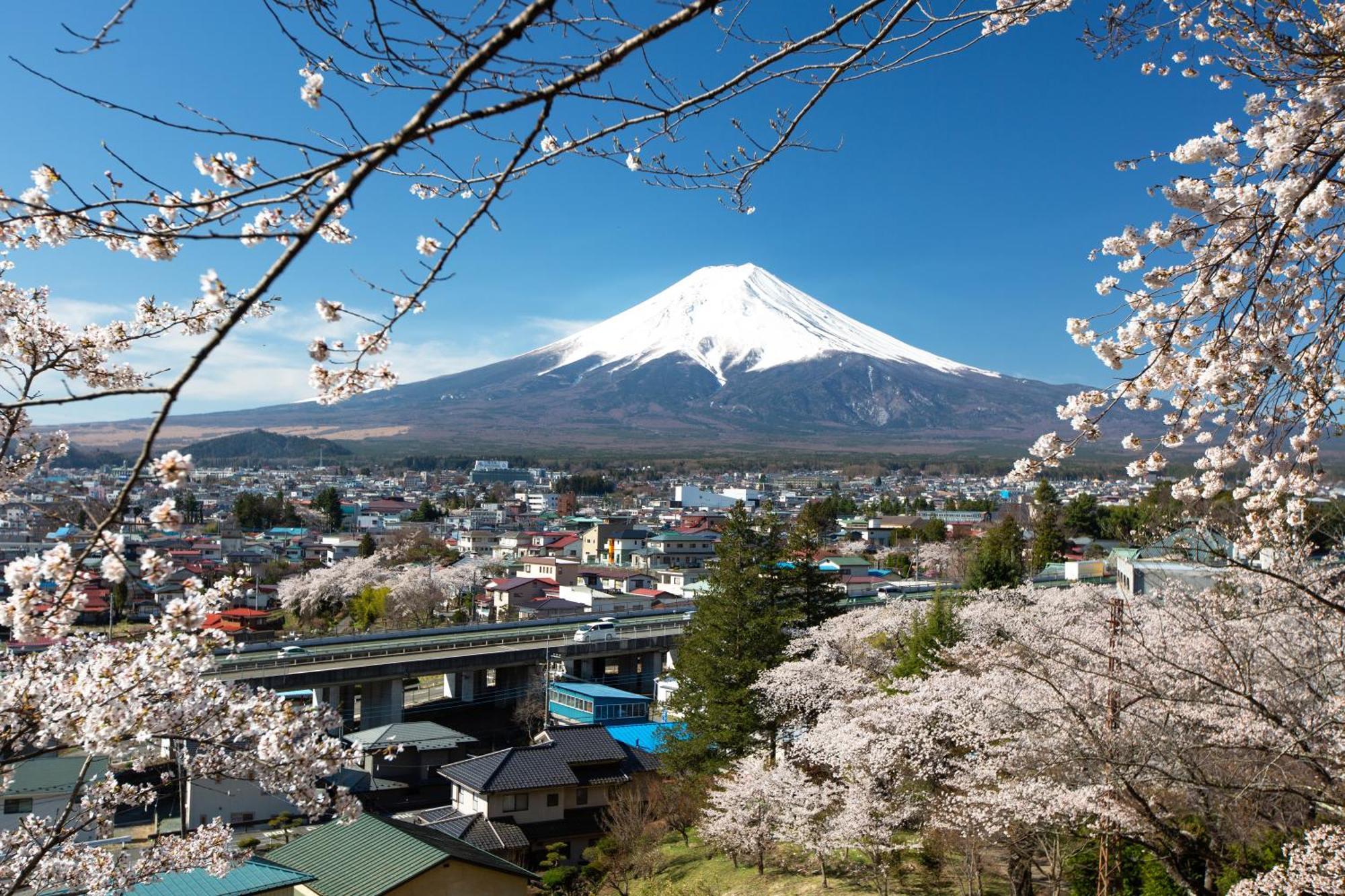 Sorapia Villa Mt.Fuji Front Fujikawaguchiko Exterior foto